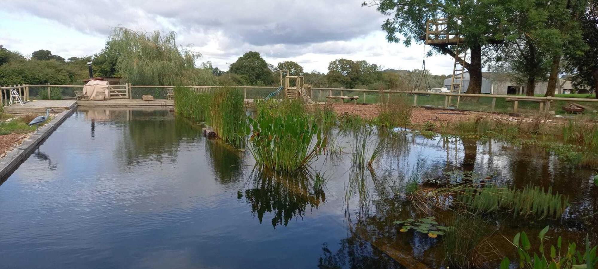 Manor Farm Holiday Cottages Chard Quarto foto